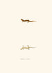 Salamander painting with cirres - John Edwards Holbrook — artwork view