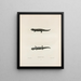 Salamander with Stripes - John Edwards Holbrook — framed artwork on a wall