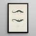 Salamandre granuleuse - John Edwards Holbrook — framed artwork on a wall