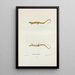 Salamander Longicaudate - John Edwards Holbrook — framed artwork on a wall