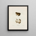 A solitary shipwreck - John Edwards Holbrook — framed artwork on a wall
