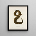 Trigonocephalus piscivorus - John Edwards Holbrook — framed artwork on a wall