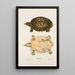 Tortue molle féroce - John Edwards Holbrook — framed artwork on a wall