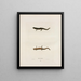 Triton dorsalis - John Edwards Holbrook — framed artwork on a wall