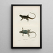 Tropidolepis ondulé - John Edwards Holbrook — framed artwork on a wall