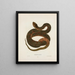 Tropidonotus fasciatus - John Edwards Holbrook — framed artwork on a wall