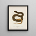 Tropidonotus sipedon - John Edwards Holbrook — framed artwork on a wall