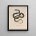 Tropidonotus sirtalis - John Edwards Holbrook | Painting — framed artwork on a wall