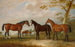 Conquérant intrépide and Bay Bolton with Silkman and Darnley in the distance in a landscape - John Ferneley — artwork view