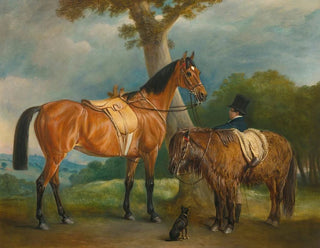 Dame Thorold, her hunter and a Shetland pony with a groom - John Ferneley — artwork view