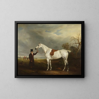 The Lord Howe Groom with a Gray Horse - John Ferneley — framed artwork on a wall