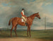 M. Sadler painting, a chestnut racehorse with Chapple in the saddle - John Ferneley — artwork view