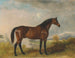 Rodolphe, a hunting horse in a vast landscape - John Ferneley — artwork view