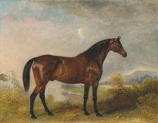 Rodolphe, a hunting horse in a vast landscape - John Ferneley — artwork view