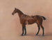 Study of a Bay Chestnut Hunting Horse - John Ferneley — artwork view