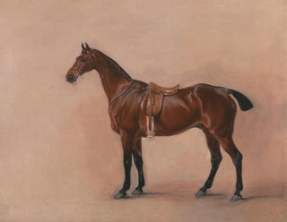 Study of a Bay Chestnut Hunting Horse - John Ferneley — artwork view