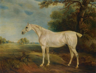 The gray horse eaten by the fleas of Marquis de Huntly - John Ferneley — artwork view