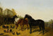 Horses and hens - John Frederick Herring Jr. — artwork view