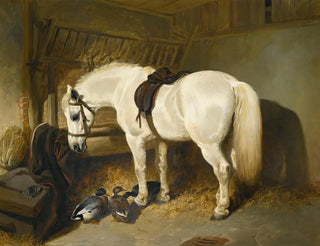 a gray pony in a stable with ducks - John Frederick Herring the Elder — artwork view