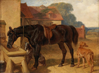 a horse drinking - John Frederick Herring the Elder — artwork view