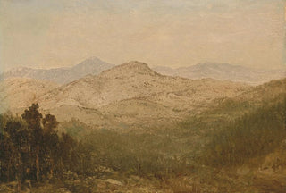 Mountains in Colorado - John Frederick Kensett — artwork view