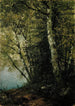 Study of Beeches - John Frederick Kensett — artwork view