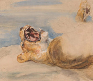 Study of a lioness - John Frederick Lewis — artwork view