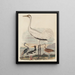 Louisiane heron painting, pie hawk, crane, and long-billed curlew - John G. Warnicke — framed artwork on a wall