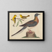 G Pigeon voyageur, paruline des montagnes et paruline à hémlock - John G. Warnicke — framed artwork on a wall