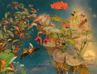 Fairies of the Summer Night - John George Naish — artwork view