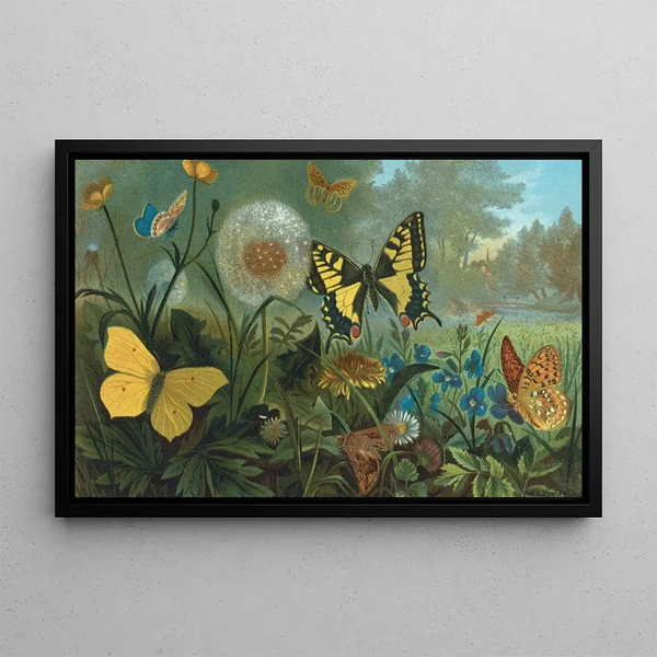 Érycinidés - John George Wood — framed artwork on a wall