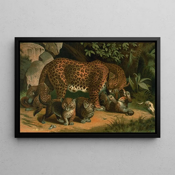 Leopard - John George Wood — framed artwork on a wall