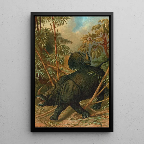 Rhinocéros - John George Wood — framed artwork on a wall