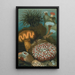 Anémones de mer - John George Wood — framed artwork on a wall