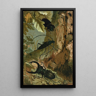 John George Wood - Stag Beetle and Longicorn Beetle.webp