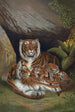 Tiger - John George Wood — artwork view