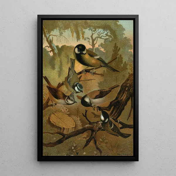 Mésanges - John George Wood — framed artwork on a wall
