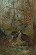 Bécasse - John George Wood — artwork view