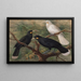 Trois huia Heteralocha acutirostris - John Gerrard Keulemans — framed artwork on a wall