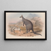 A monograph of the Macropodidae or kangaroo family Pl05 - John Gould — framed artwork on a wall