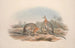 A monograph of the Macropodidae or kangaroo family Pl08 - John Gould — artwork view