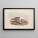 A monograph of the Macropodidae or kangaroo family Pl12 - John Gould — framed artwork on a wall