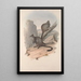 A monograph of the Macropodidae or kangaroo family Pl23 - John Gould — framed artwork on a wall