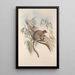 A monograph of the Macropodidae or kangaroo family Pl27 - John Gould — framed artwork on a wall