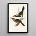 A monograph of Ramphastidae or toucan family Pl22 - John Gould — framed artwork on a wall