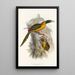 A monograph of the Ramphastidae or toucan family Pl28 - John Gould — framed artwork on a wall