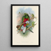 A monograph of the Trogonidae or family of trogons Pl01 - John Gould — framed artwork on a wall