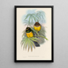 A monograph of the Trogonidae or family of trogons Pl06 - John Gould — framed artwork on a wall