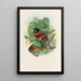 A monograph of the Trogonidae or family of trogons Pl35 - John Gould — framed artwork on a wall