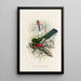 A monograph of the Trogonidae or family of trogons Pl37 - John Gould — framed artwork on a wall